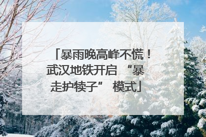 暴雨晚高峰不慌！武汉地铁开启 “暴走护犊子” 模式